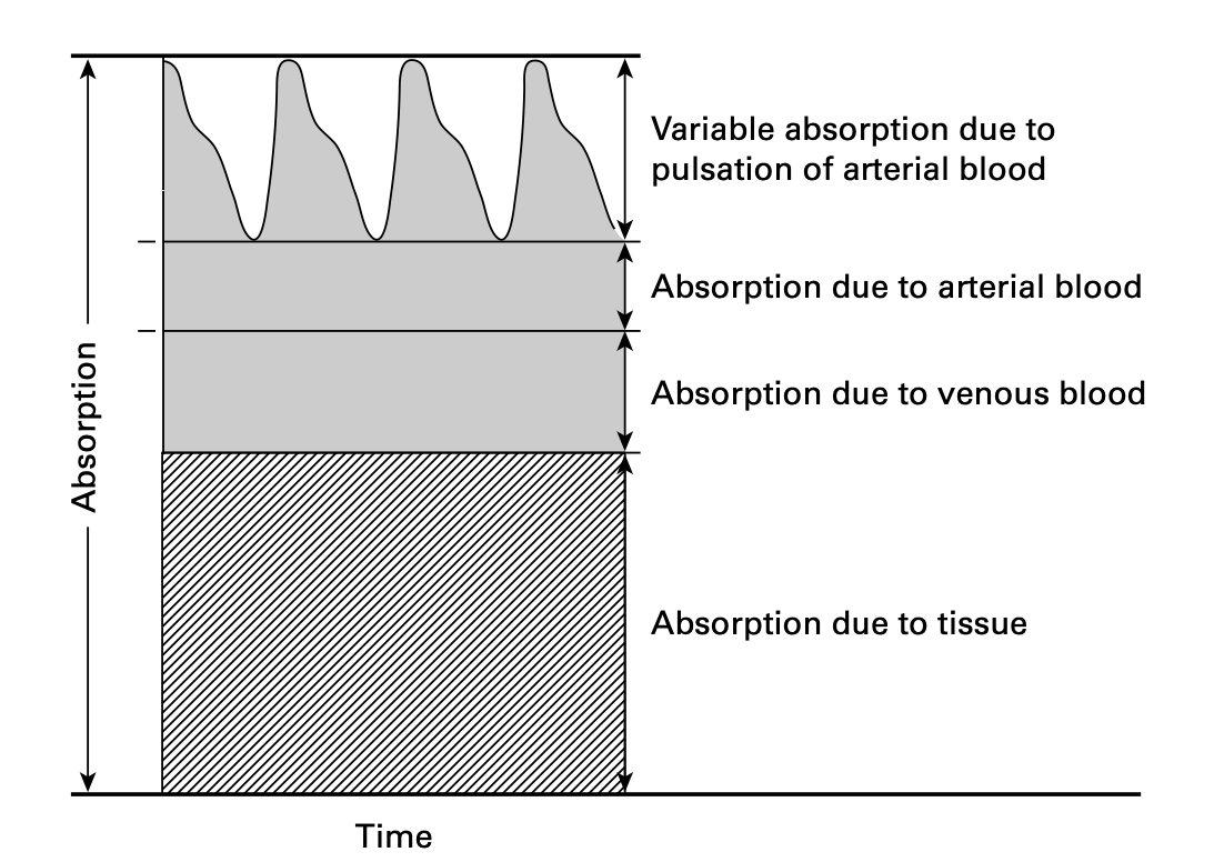 components_of_absorption_signal