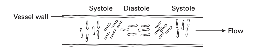 erythrocytes_flip